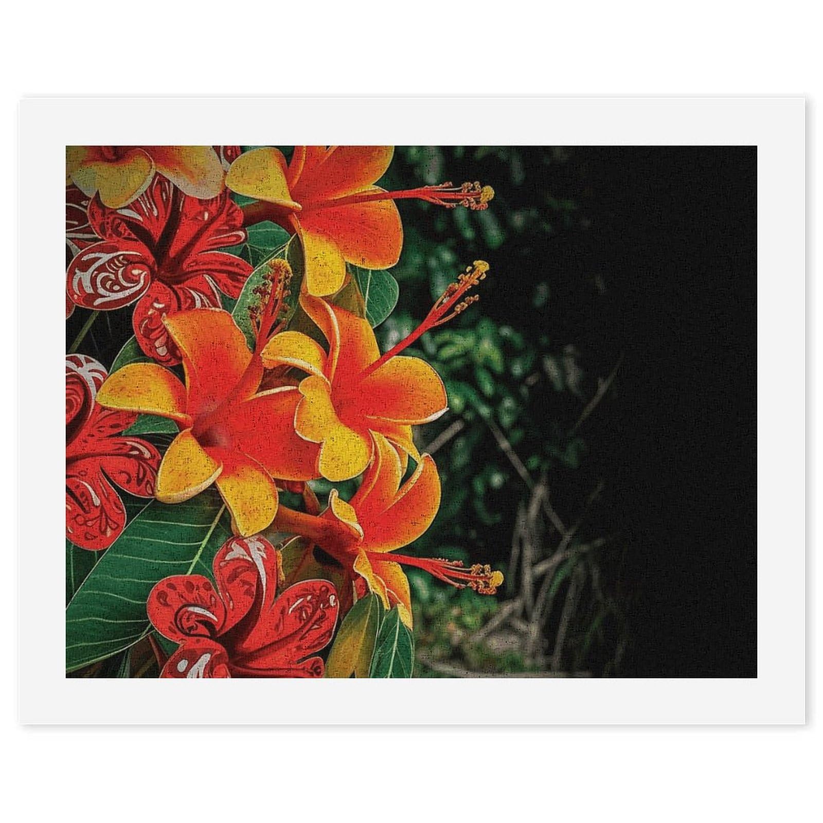 RTBKLYQ Kit per dipingere con i numeri, per adulti e principianti, fiori hawaiani, fai da te, pittura a olio, tela per kit di pittura, regalo per la casa
