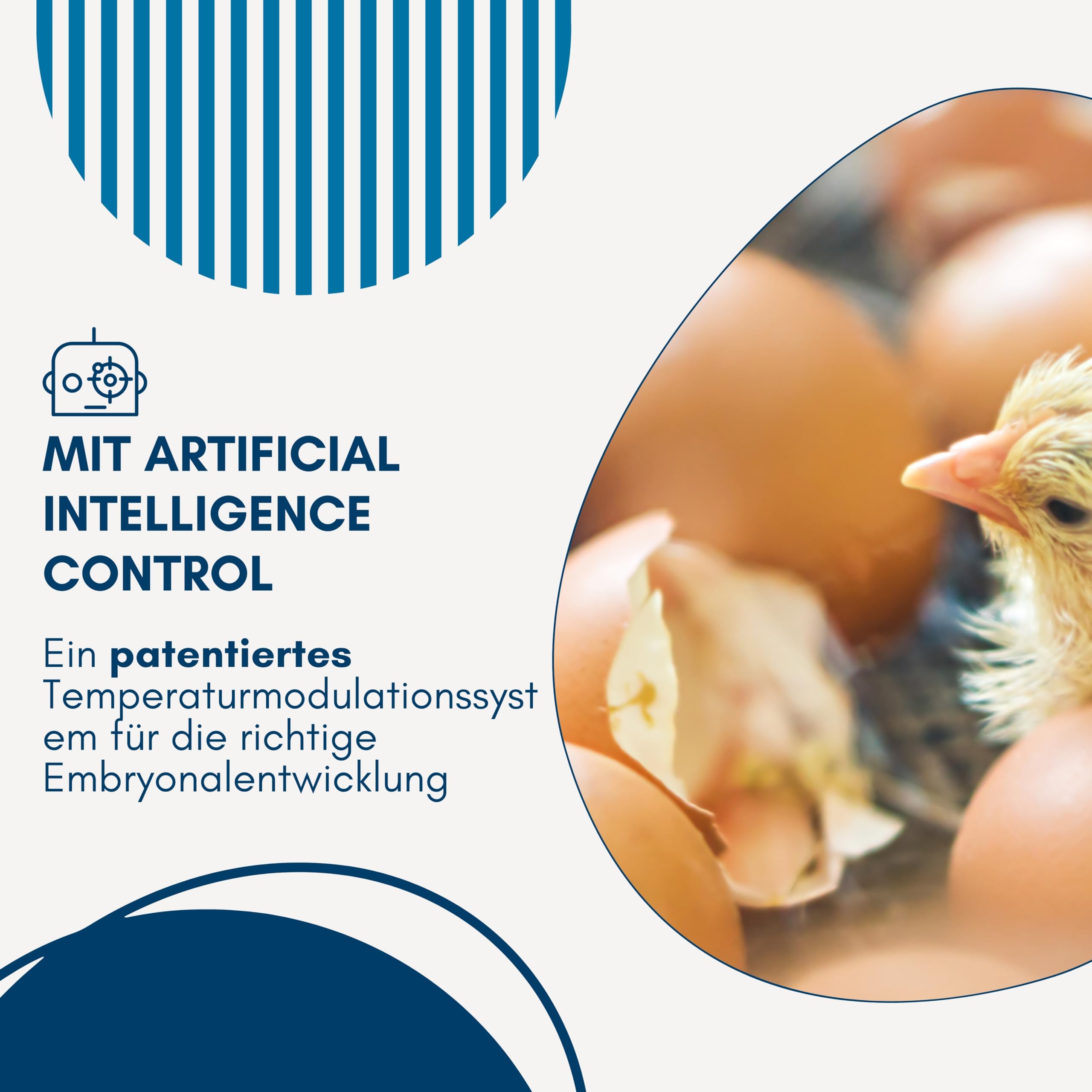 Borotto Real 24 Semi Automatische | Inkubator für 24 Eier oder 96 Kleine Professionelle Brutmaschine mit Halbautomatische Ei Wendung und Temperaturkontrolle | Hergestellt in Italien