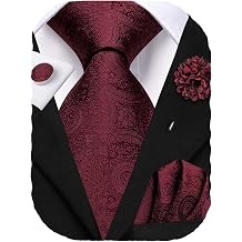 Hi-Tie Mens Silk Ties Formal Woven Classic Necktie Pocket Square Set | with Lapel Pin Cufflinks,for Wedding Party Business