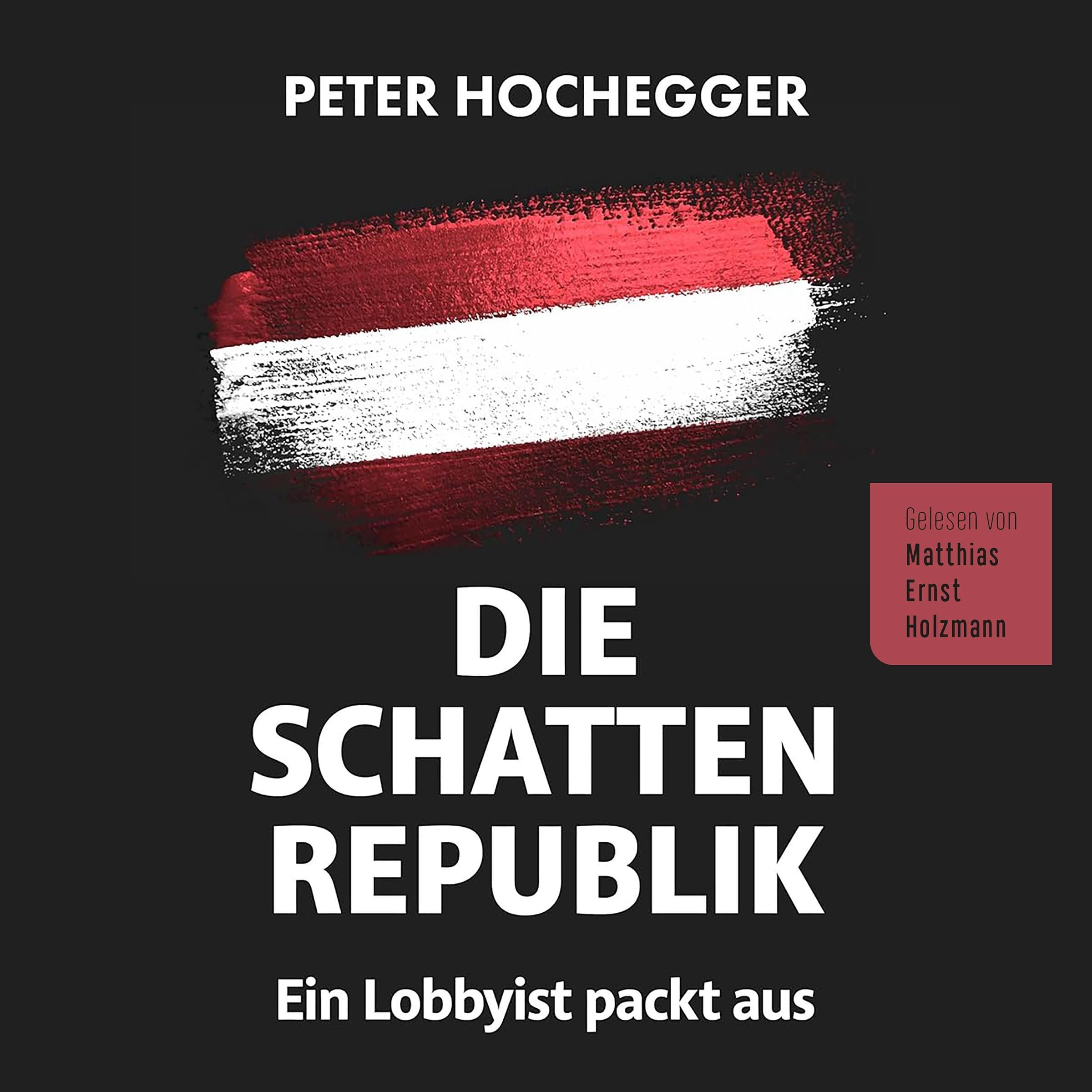 Cover art for Die Schattenrepublik