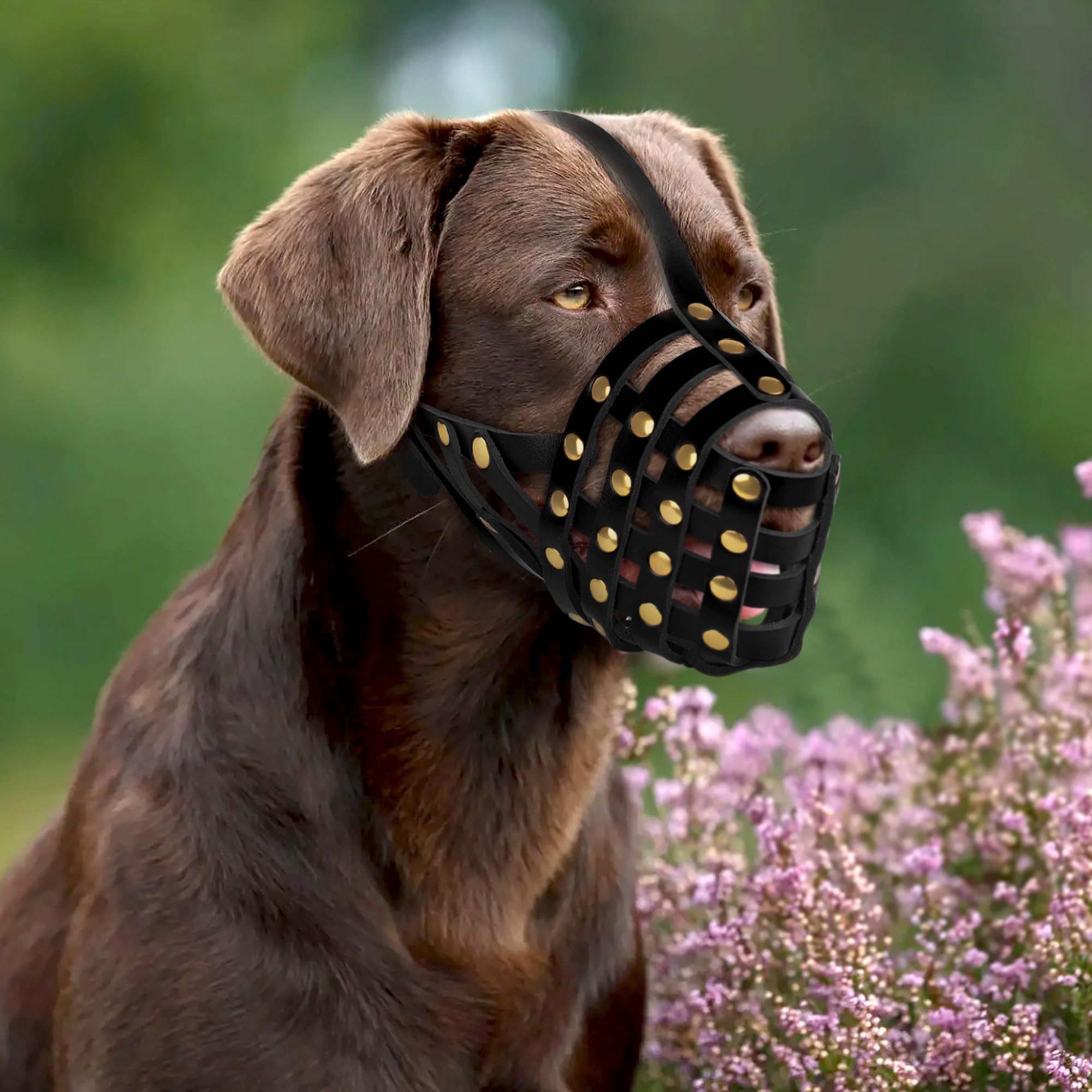 OOPSDOGGY Labrador Dog Muzzle for Large Dogs - Image 3