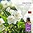 Jasmine Essential Oil, ESSSLUX Aromatherapy Oils for Diffuser, Massage, Soap, Candle Making, Perfume, 30 ml