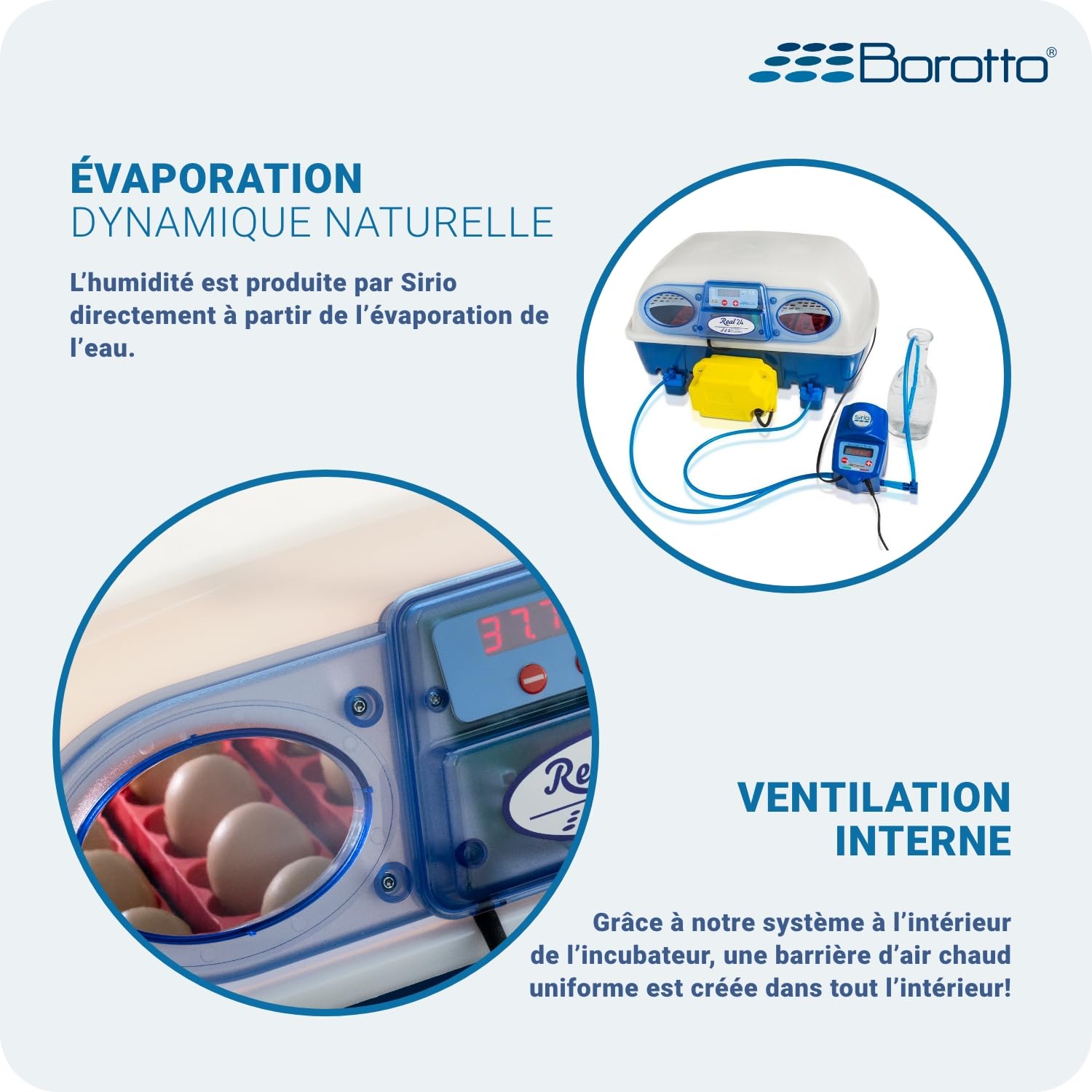 Borotto Real 24 Expert | Couveuse Oeuf Automatique 24 Oeuf ou 96 Petit avec Retournement Automatique, Contrôle de la Température et Humidificateur Automatique Sirio | Made in Italy