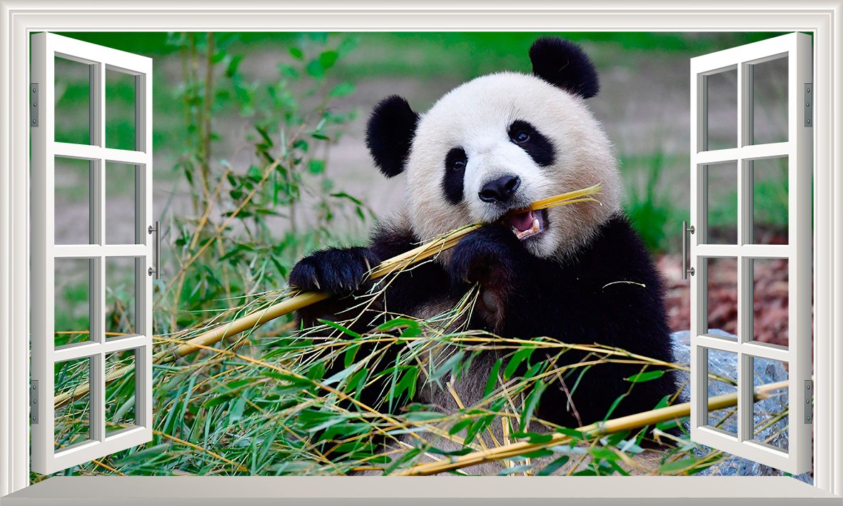 Chicbanners Panda 3D V001 Magic Window Wall Sticker Self Adhesive Poster Wall Art Size 1000Mm Wide X 600Mm Deep (Large)