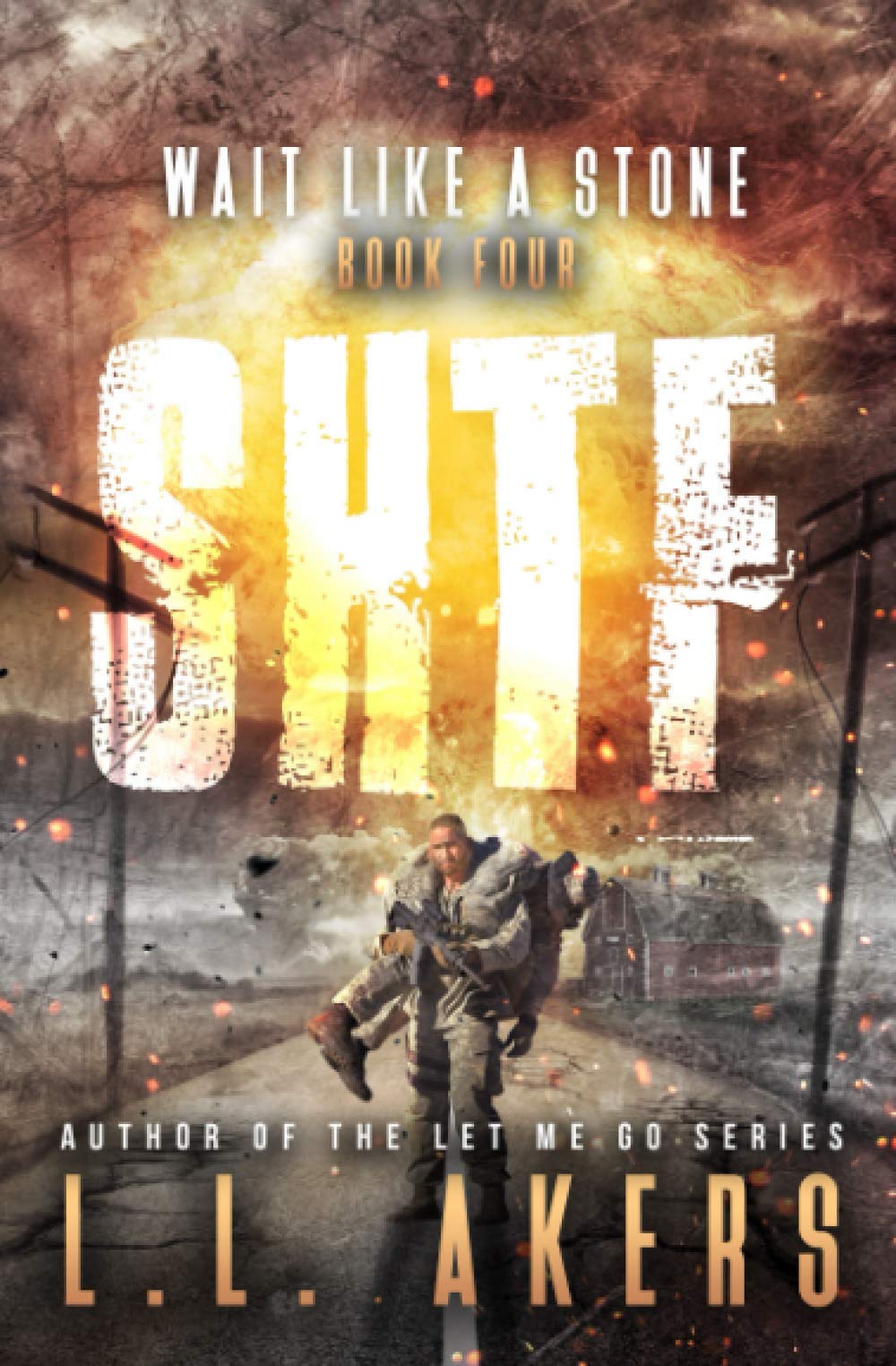 Wait Like a Stone: A Post-Apocalyptic Thriller (The SHTF Series)