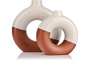 Terracotta Vase: Modern Donut Vase Set for Captivating Bedroom Decor