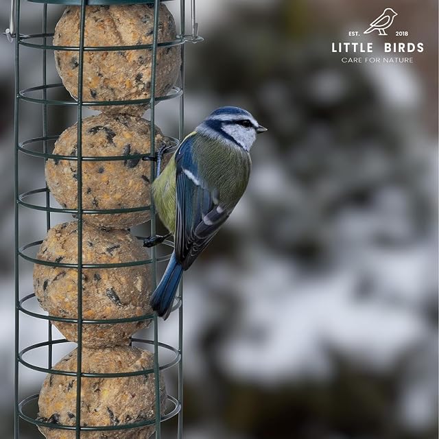 Foto 7 de 8 de 60 Bolas De Grasa para Pajaros con Comedero Pajaros - Bolas De Grasa para Silvestres