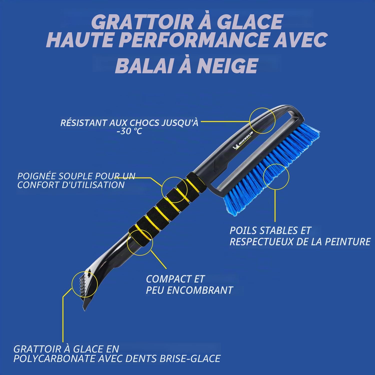 Michelin Grattoir à Glace avec Fouet