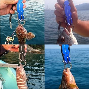 Amazon | オーシャンブレイブ 【ブレイブキャッチ(ファッションレッド2