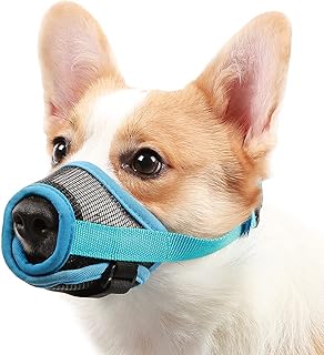 chihuahua muzzle amazon