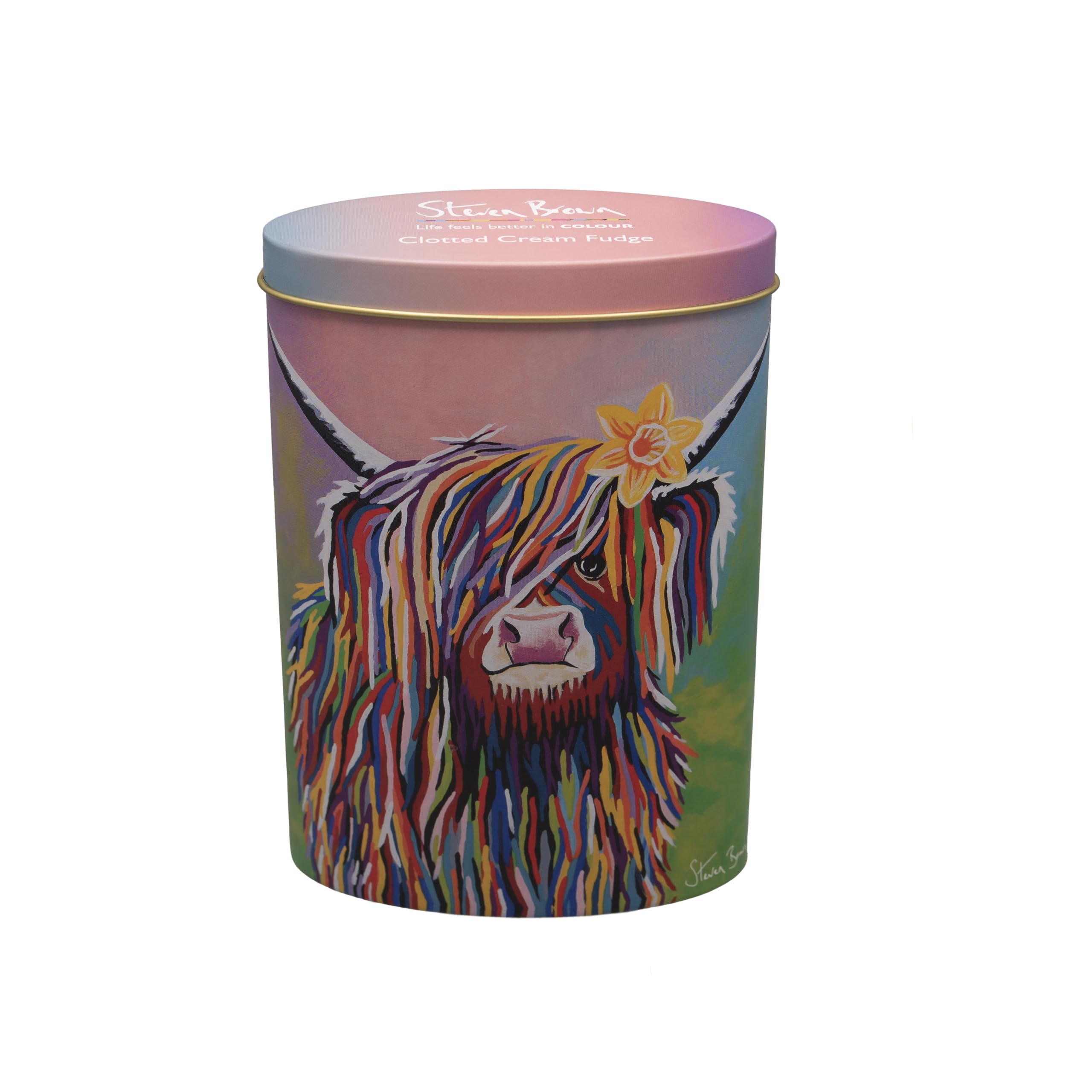 Cocoa Brown Steven Brown Marie Mccoo Oval Tin Of Clotted Cream Fudge 250G