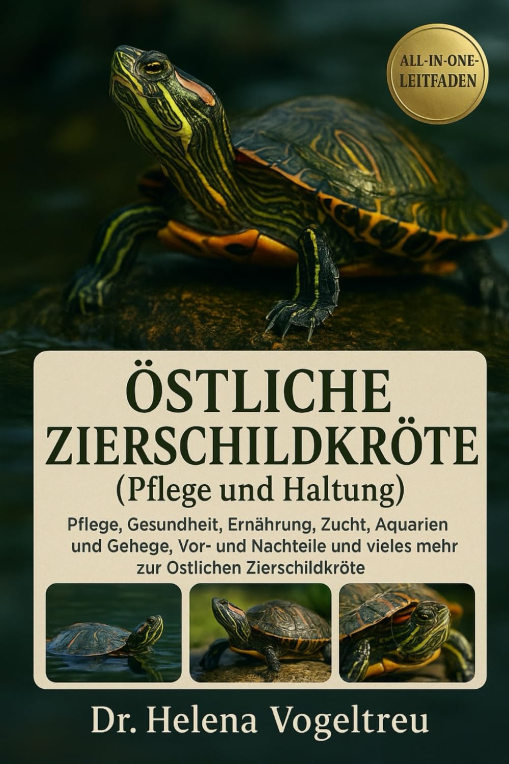 Östliche Zierschildkröte (Pflege und Haltung): Pflege, Gesundheit, Ernährung, Zucht, Käfige, Vor- und Nachteile und vieles mehr zur Östlichen Zierschildkröte