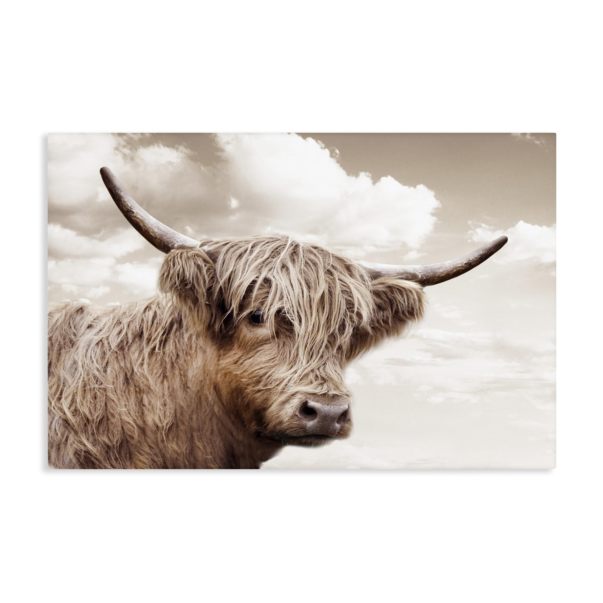 Stupell Industries 'Shaggy Highland Cow & Clouds', Canvas Art, 36 x 24 Inches, Easy to Hang and Sturdy, Made in USA, by CAD Designs