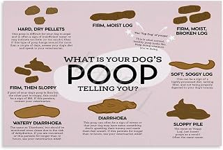 Pet Poop Guide Poster Veterinary Hospital Wall Decor (2) Canvas for Bedroom Living Room Decor 12x08inch(30x20cm) Unframe-style