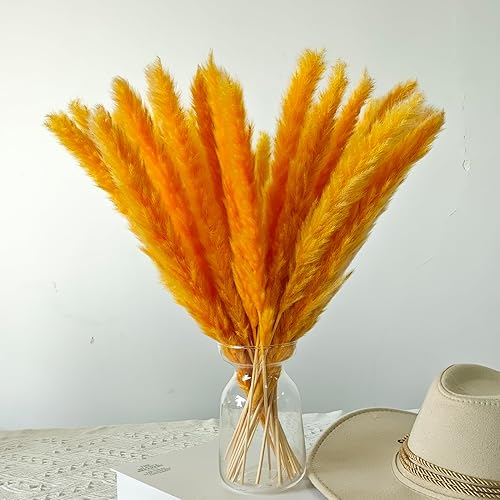 30 piezas pequeñas de hierba de las pampas, flores secas naturales, arreglos florales naturales, decoración de hierba seca de junco, flor eterna de