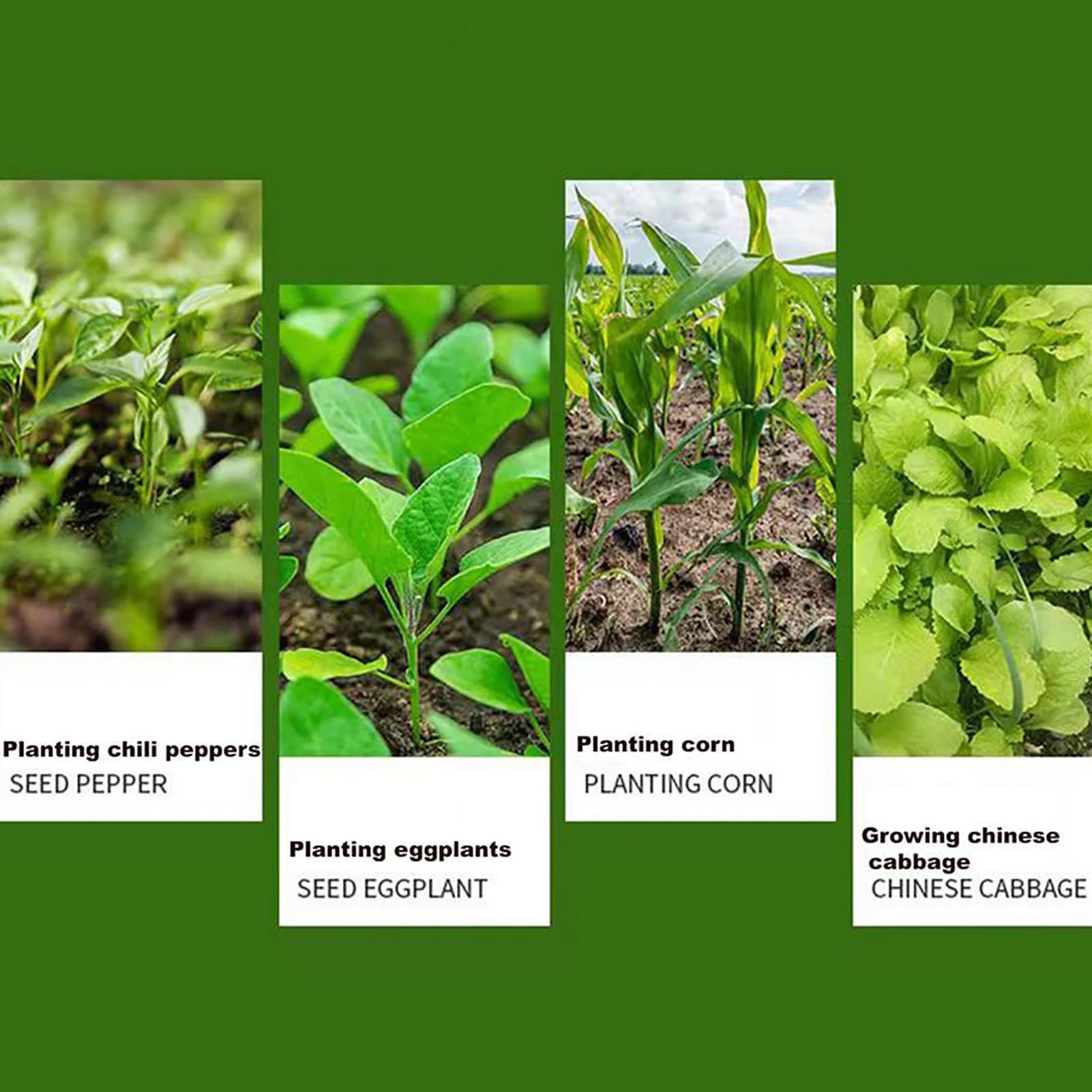 BTAISYDE Seedling Transplanter, 1pc Planter Vegetable Young Plant Garden Greenhouse Manual Transplanting Tool