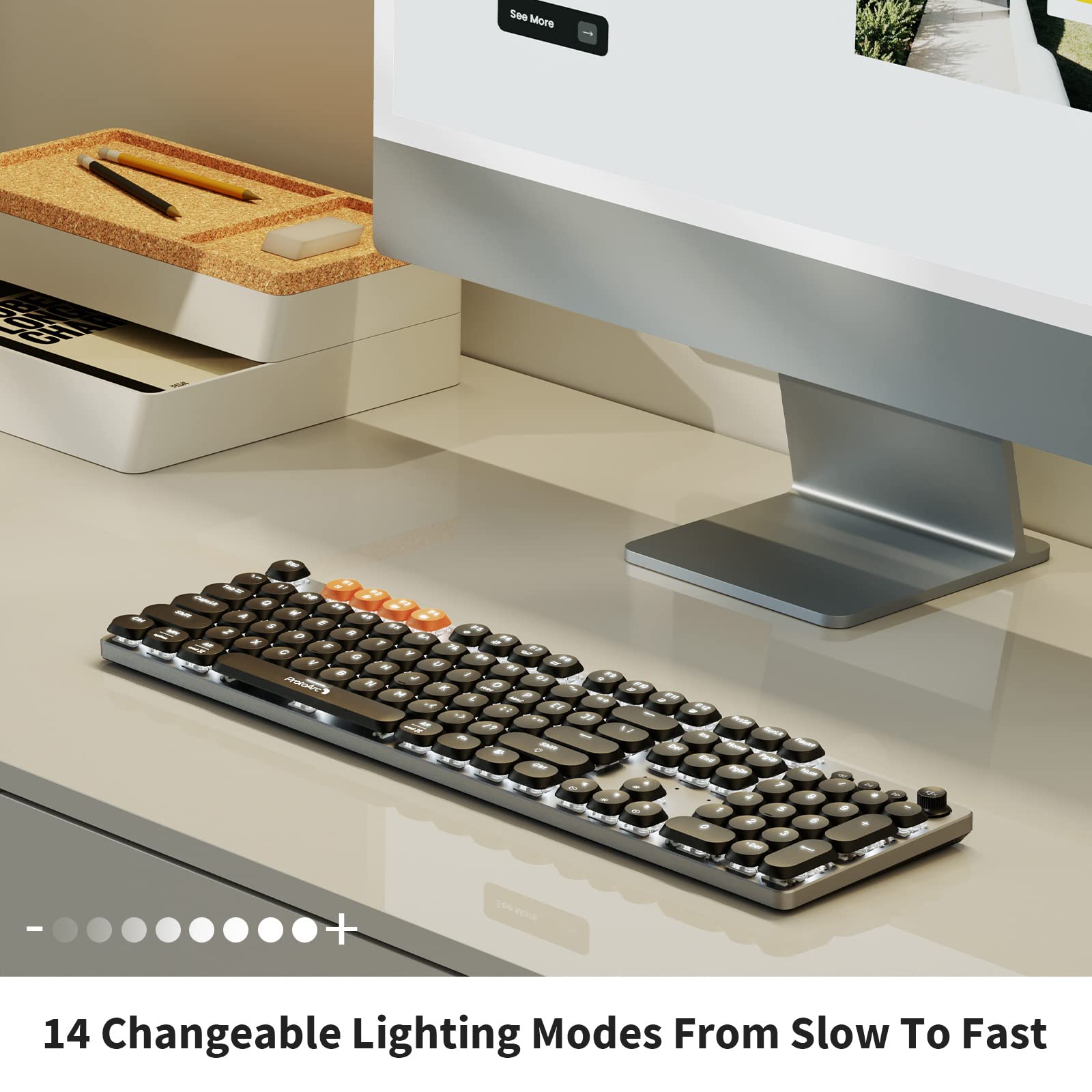 https://m.media-amazon.com/images/I/71h6huTaNVL.jpg