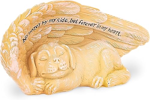 Jaciya Dog Memorial Stone Pet Memorial Gifts for Dogs Angel Wing Pet Loss Gifts
