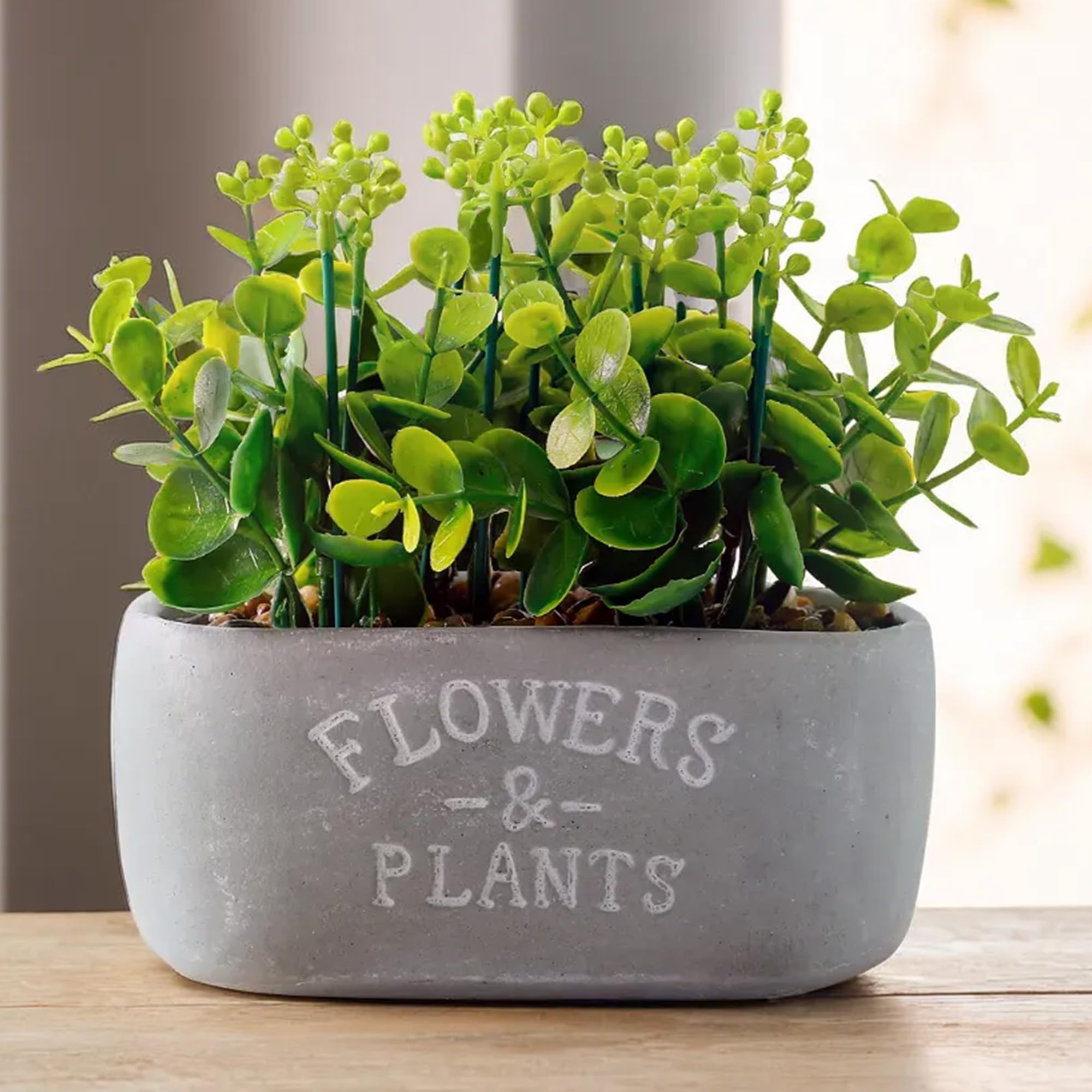 The Better Home Artificial Plants for Home Décor(16cm-Misty Grey) Artificial Plants with Pot|Artificial Plants for Decoration|Home Décor Items for Living Room|Diwali Decoration Items Diwali Gifts (B0DFQ2JHNP) Amazon Price History, Amazon Price Tracker