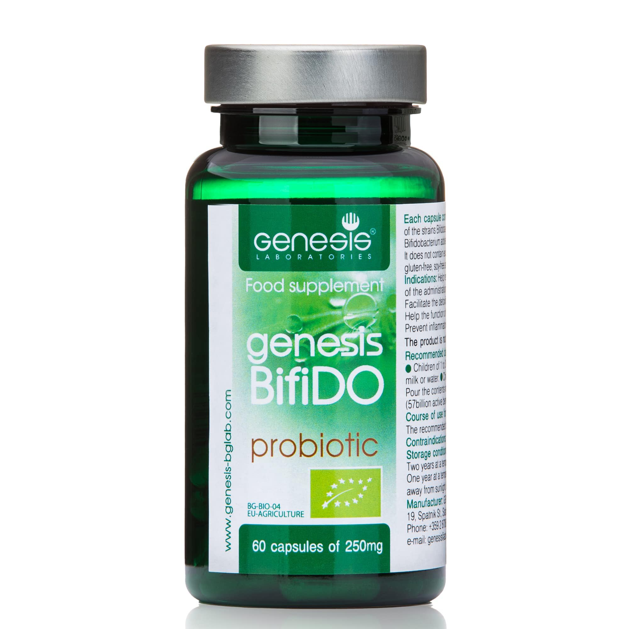 BIO Vegan Bifidobakterien Probiotika – Darmbakterien Kapseln für Darmflora Aufbau & Darmsanierung – Laktosefrei, Glutenfrei, Ohne Soja, Vegetarisch – 240 mg Hochwertiger Kulturen Komplex 60 caps