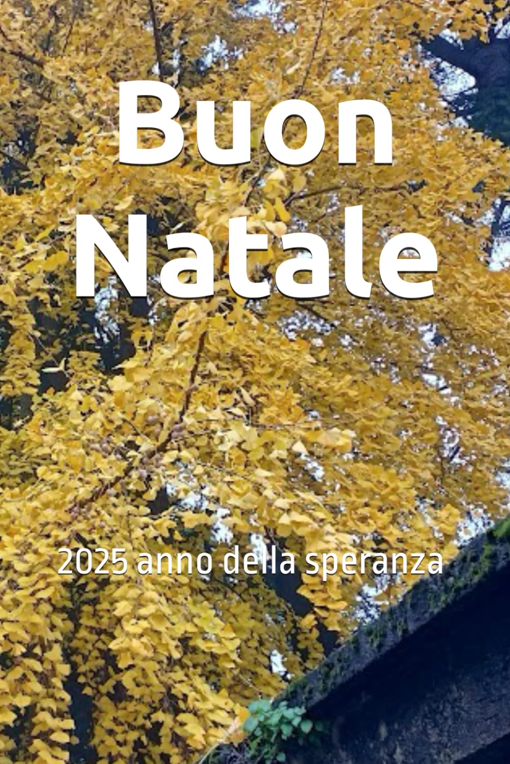 Buon Natale: 2025 anno della speranza
