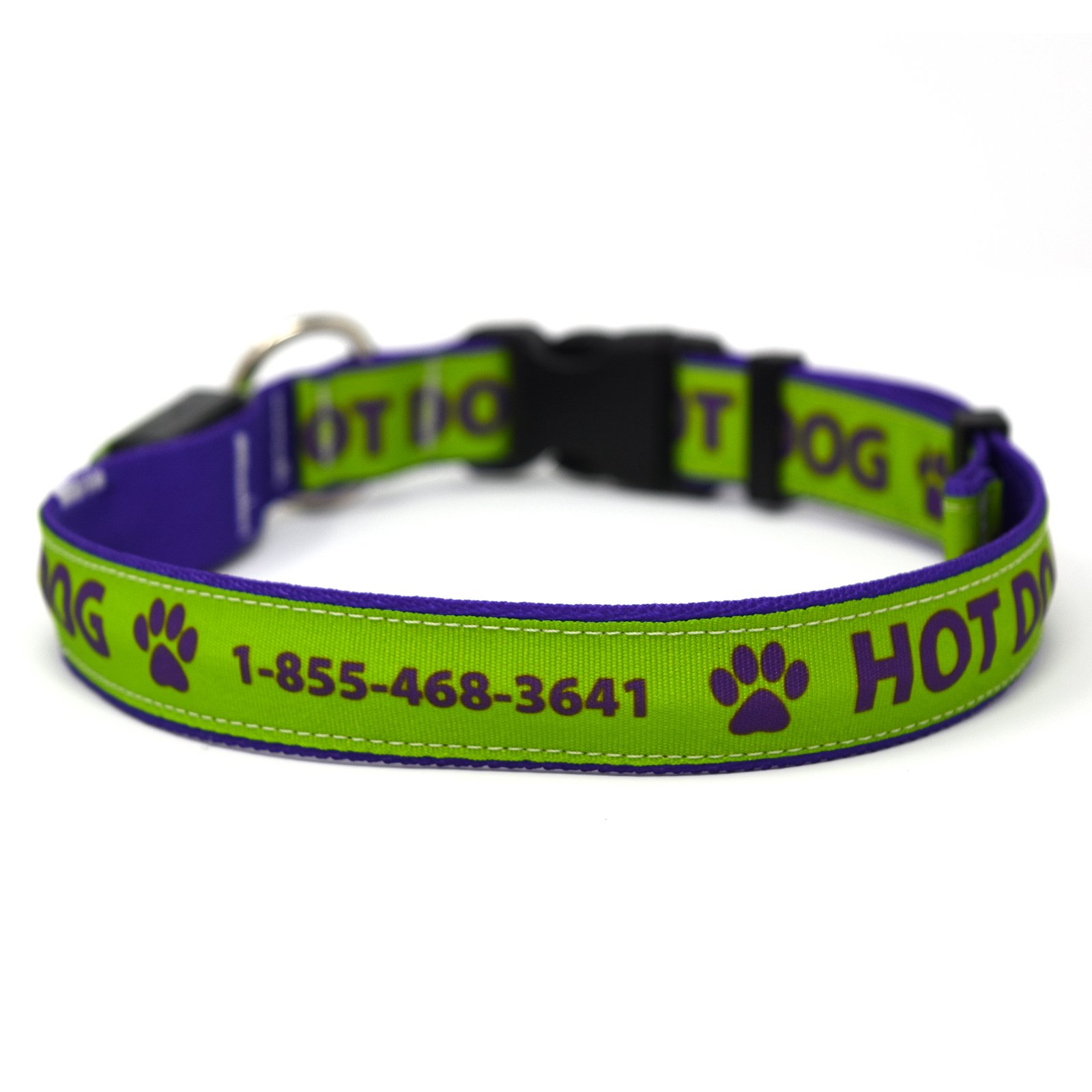 Personalized Hot Dog LED Safety Collar, Lights Up, Rechargeable, Spring Green, X-Large