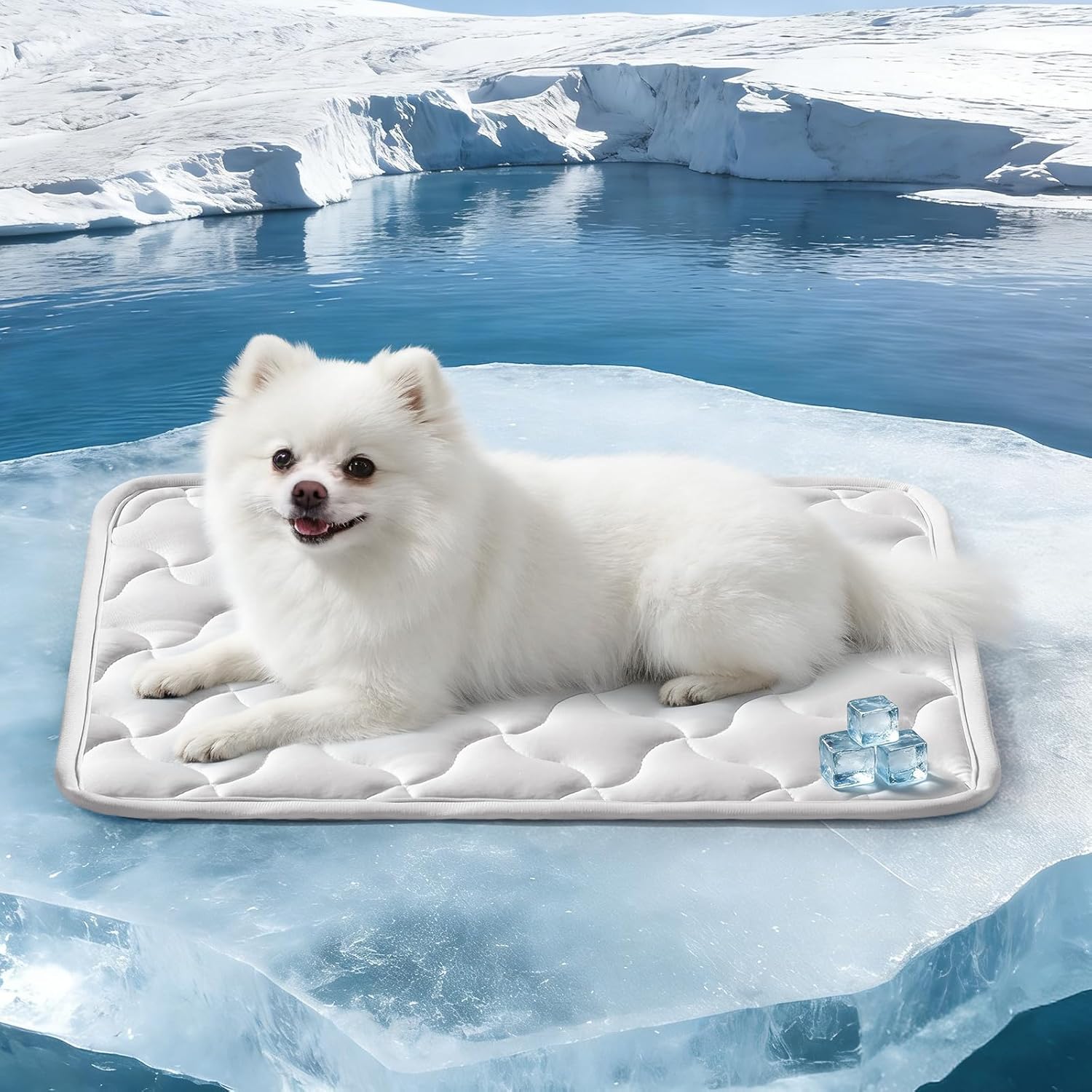 GASUR Cooling Mat for Dogs, Q-Max>0.5 Instant Temp Drop Dog Cooling Mats for Medium Dogs&Cats, Cooling Pad for Dog - Indoor Outdoor Travel Use, Snag Resistant，Machine Washable&Anti-Slip, 28"X22" Blue