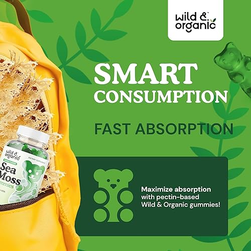 Miniatura 4 de Wild & Organic Gomitas de musgo marino irlandés de 1600 mg – Complejo con raíz de vejiga y bardana – Masticables de gel de musgo marino para apoyo