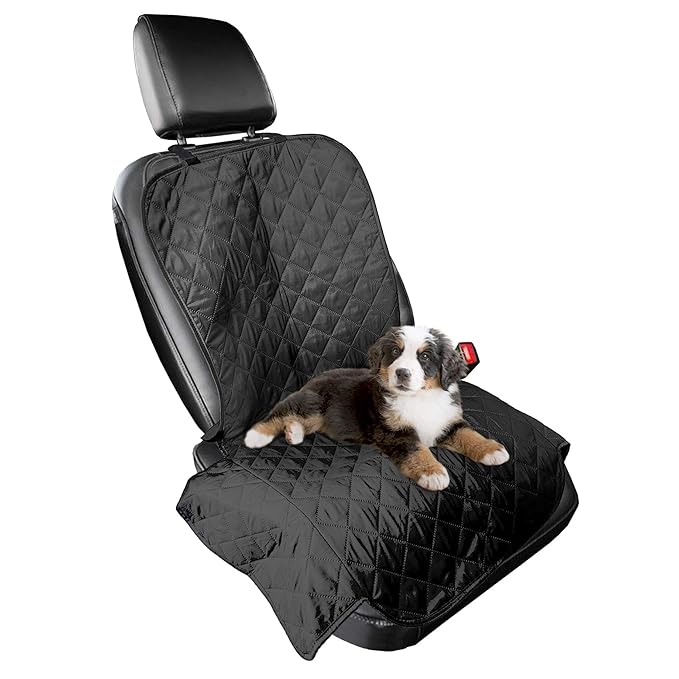 groupon dog seat cover