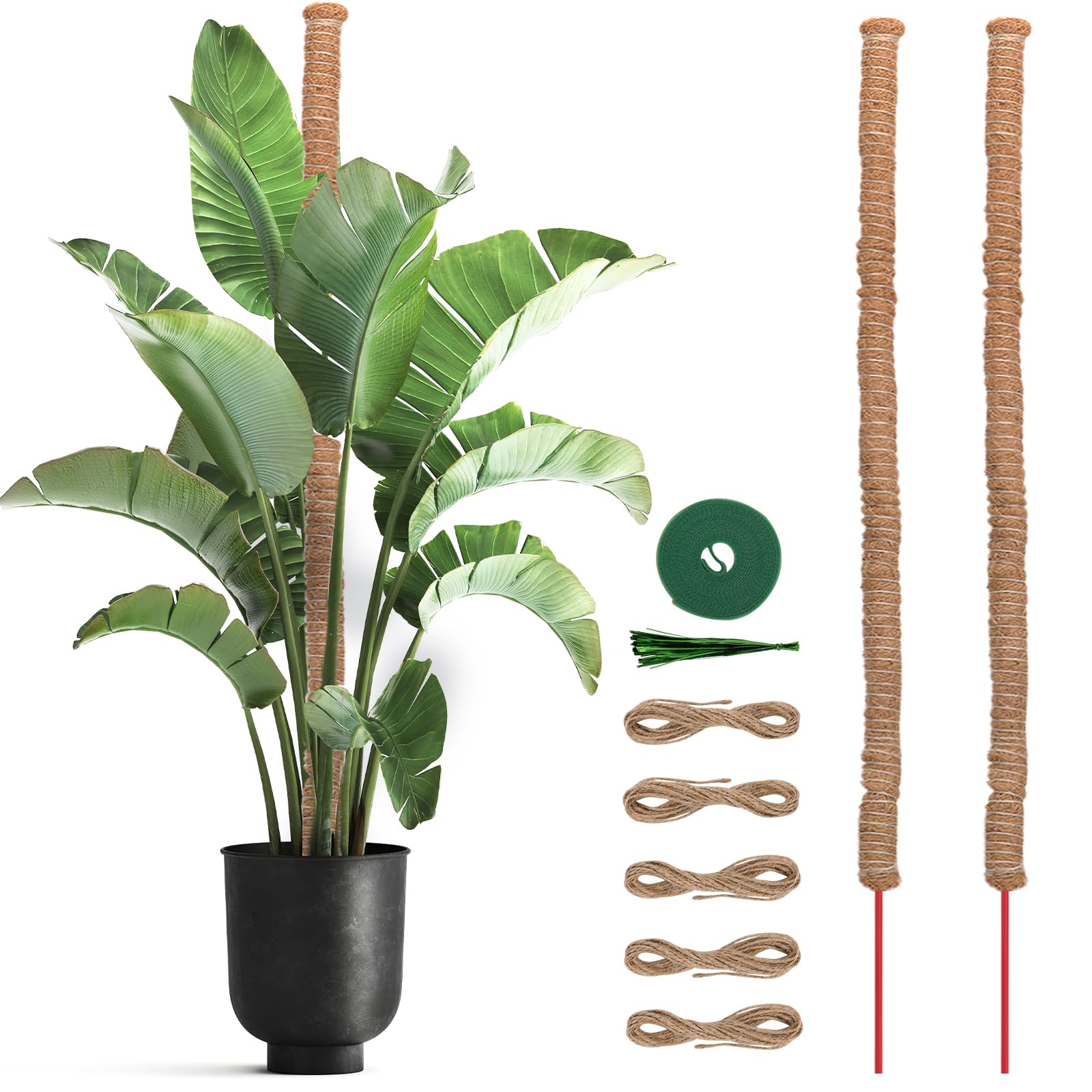 Whonline 2 PCS Moss Pole 47 Inches Plant Sticks Support, Plant Stakes for Indoor Plants, Monstera, Pothos