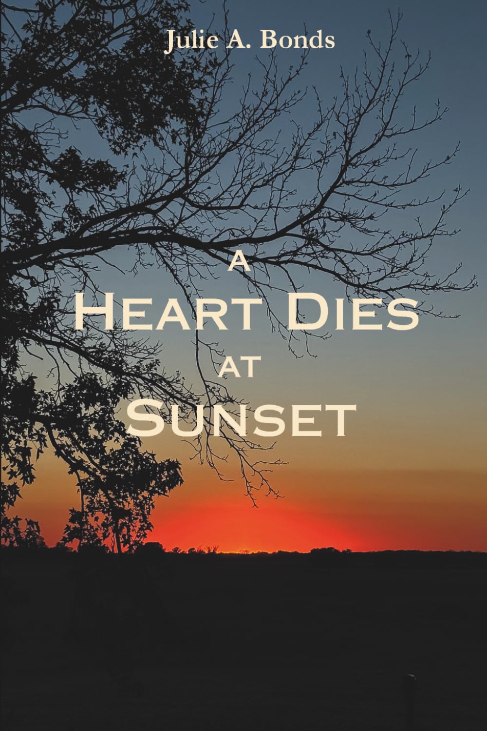 A Heart Dies at Sunset: Meet Me at Sunrise