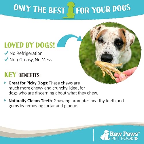 Miniatura 4 de Raw Paws Pies de pollo secos para perros (paquete de 10)  Empaquetados en Estados Unidos  100% digeribles, de un solo ingrediente  Pies de pollo