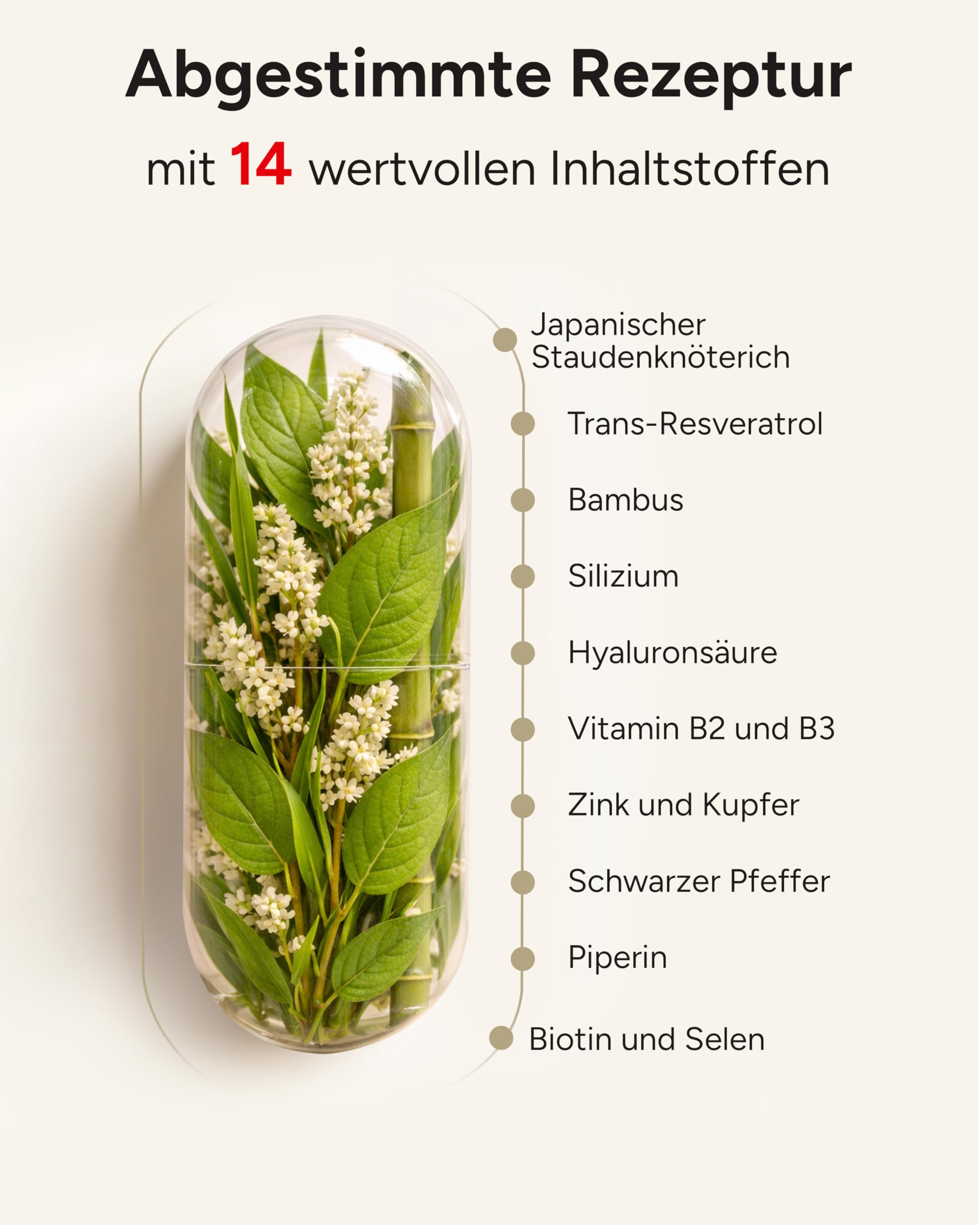 120 Trans Resveratrol Kapseln mit 750mg Resveratrol hochdosiert mit Silizium und Hyaluron (in 2 Kapseln) als Resveratrol Komplex