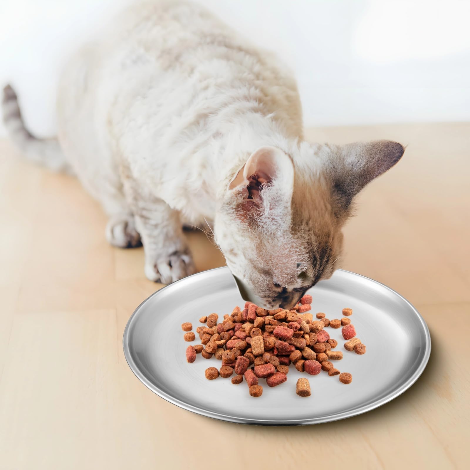 Ciotole per gatti in acciaio inossidabile, 12 pezzi, 6,7 x 1,5 cm, poco profonde, per furetti randagi, gattini, ciotola per l'alimentazione dei gatti