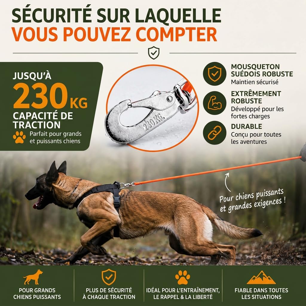 Romneys domaine Laisse - Orange (20m)