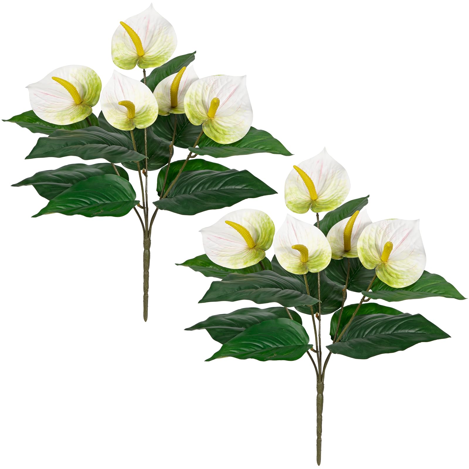 product_img5