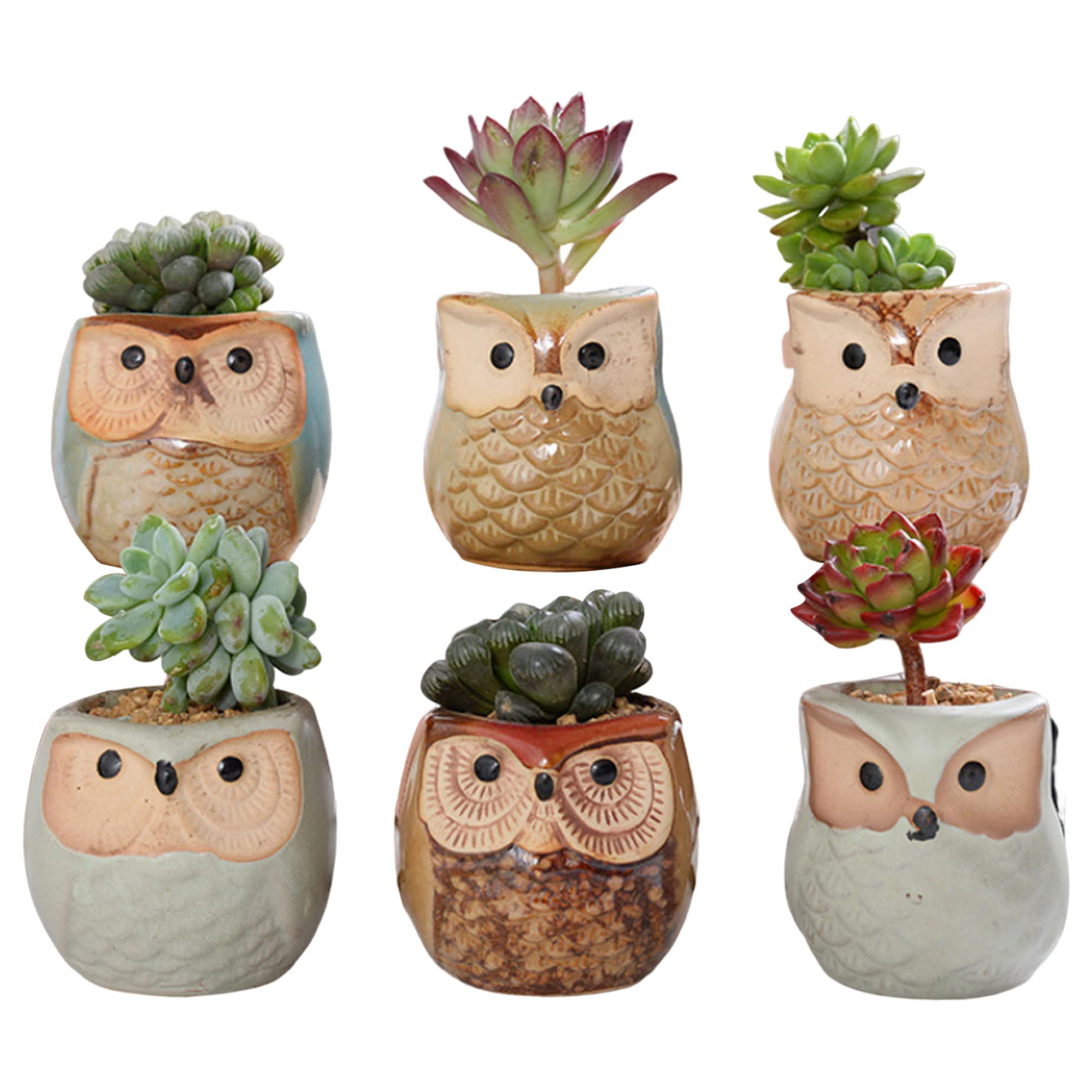 Pot de plantes d'intérieur et d'extérieur pour cactus et support plante en céramique