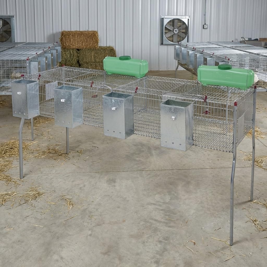 Suinga Gabbia per conigli a 4 scomparti, pavimento in metallo, 200 x 62 x 99 cm, con tramoggia e abbeveratoio, ideale per allevamento e organizzazione