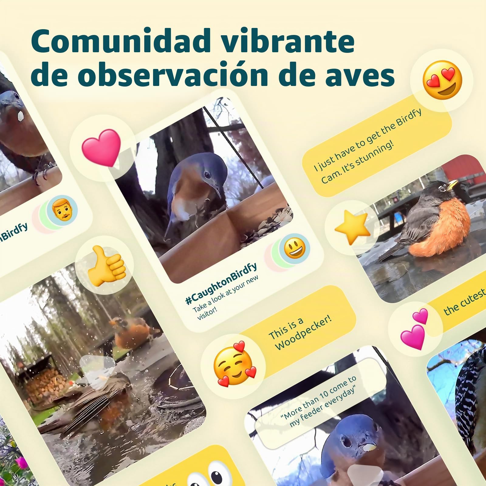 Birdfy Cámara Comedero para Pájaros Inteligente – Versión Mejorada, energía Solar, Captura automática de vídeo, notificaciones instantáneas, IA identifica 6000+ Especies, 1080P cámara para Aves