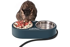 Heated Cat Bowl: Non-Freezing Water Source for Outdoor Cats in Winter