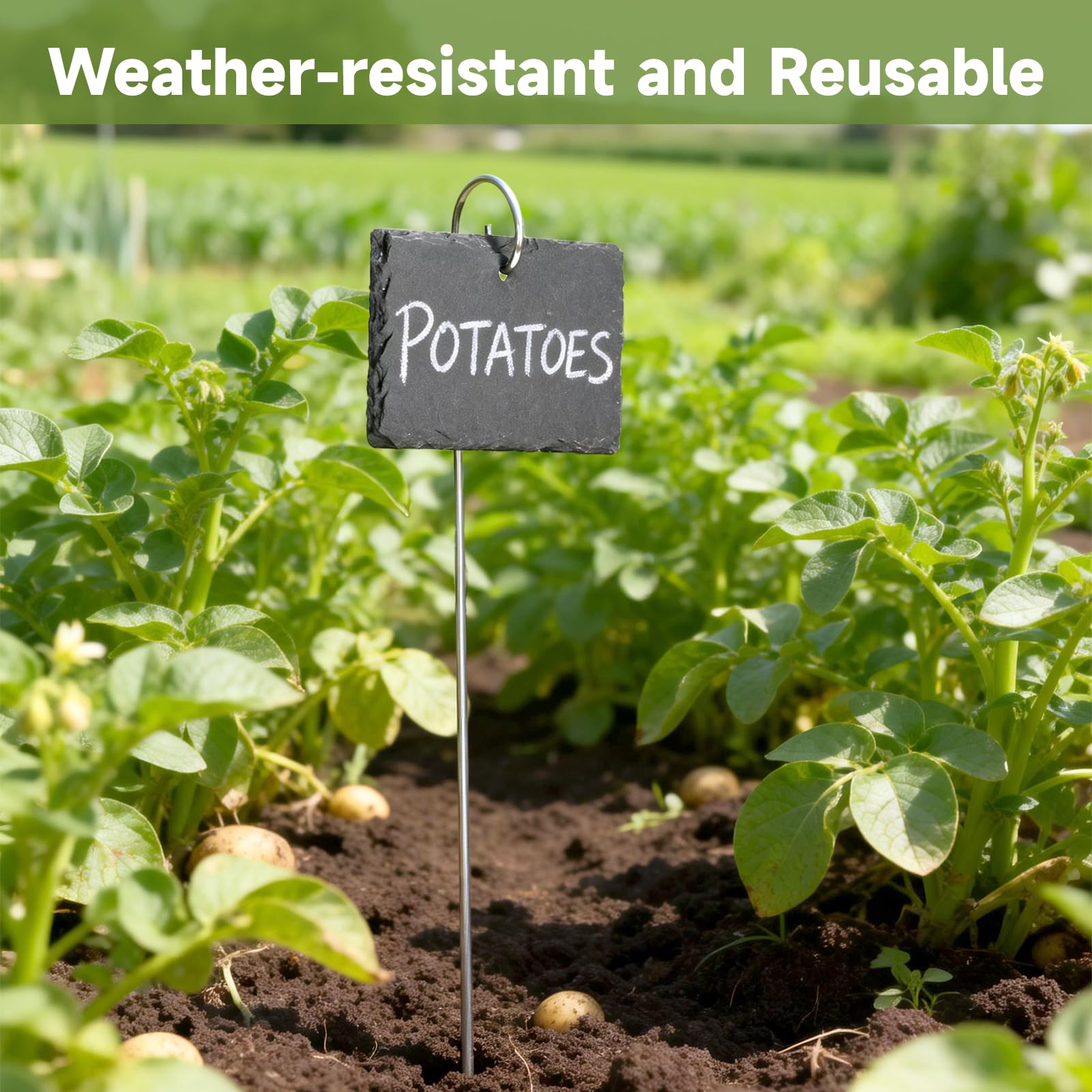 KINGLAKE 10 pièces étiquette pour plante en ardoise, étiquettes jardin exterieur, avec une tige de fer et de la craie, étiquette potager réutilisables, etiquettes semis plantation-rectangle