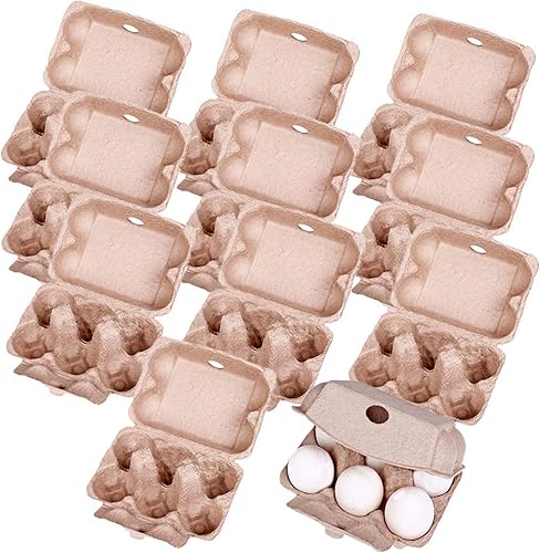 ASkinds Paquete de 10 cajas de cartón de pulpa para huevos, cartón biodegradable para huevos de 6 celdas para huevos frescos de granja, contenedor