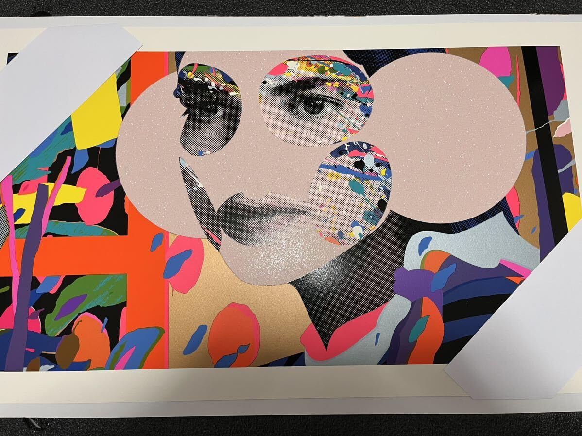Amazon.co.jp: Paul insect Cosmodelaポールインセクト ED175 kyne 