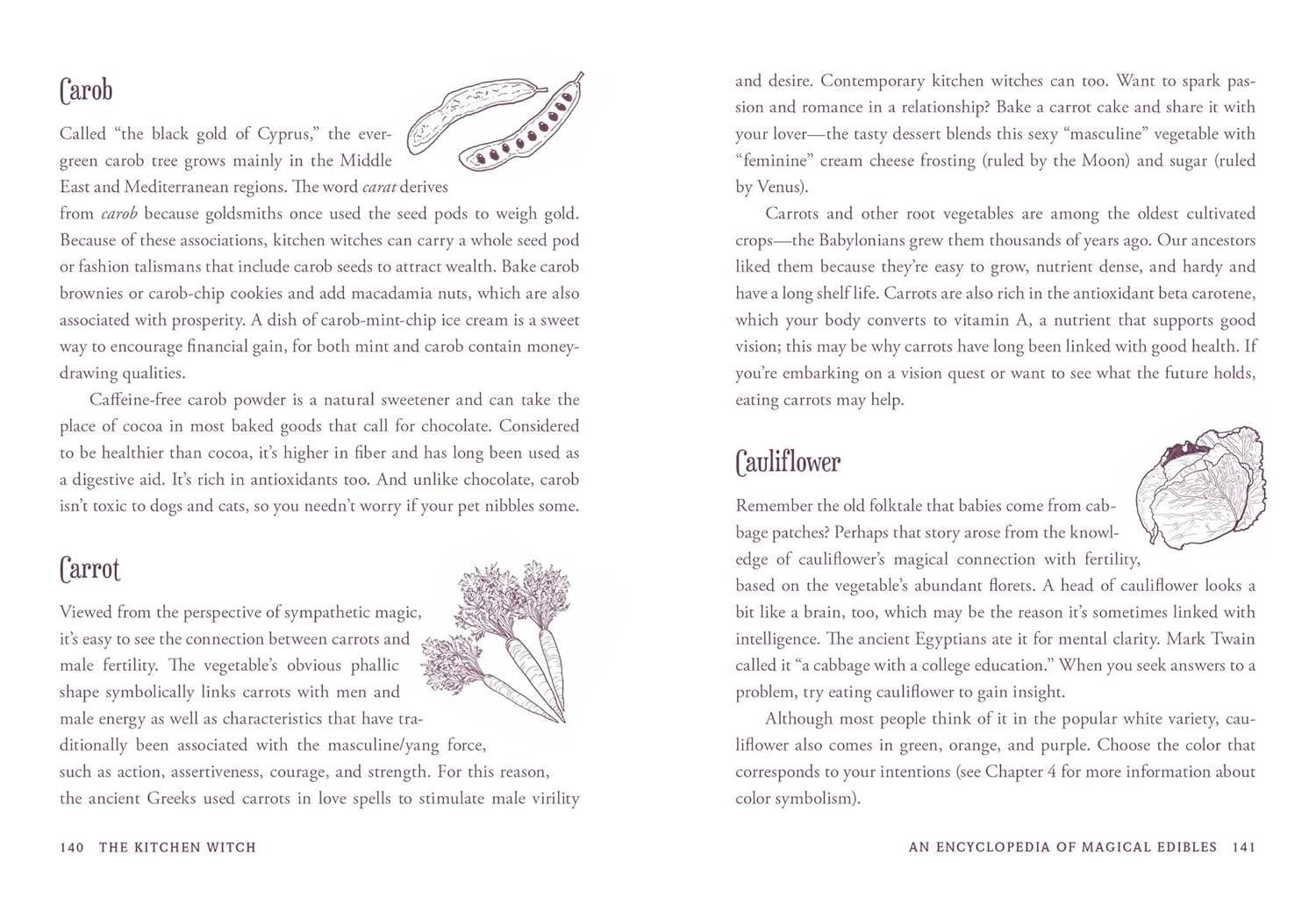 The Kitchen Witch: Your Complete Guide to Creating a Magical Kitchen with Natural Ingredients, Sacred Rituals, and Spellwork (House Witchcraft, Magic, & Spells Series) - Image 3