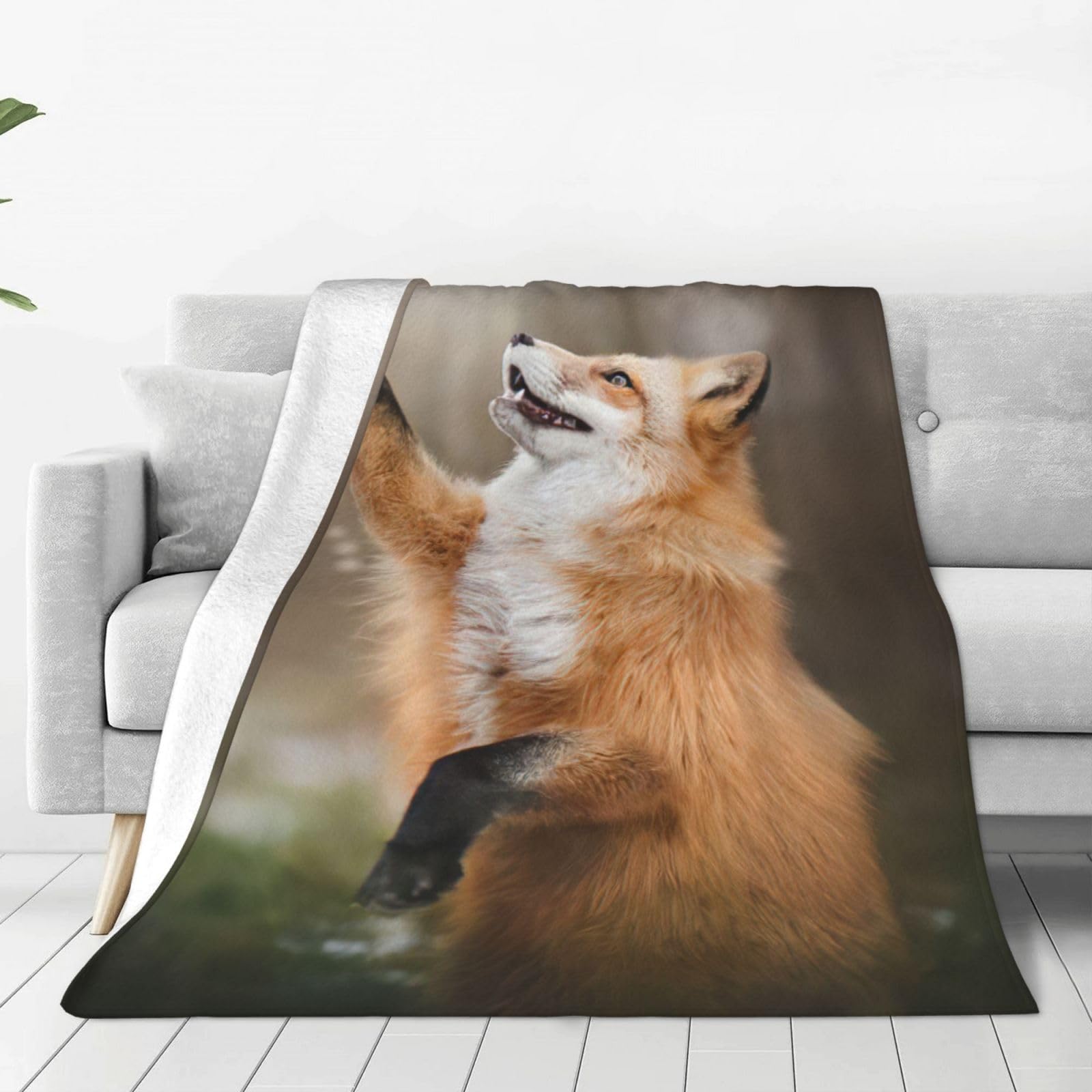 Couverture polaire renard pour des soirées cocooning sur le canapé