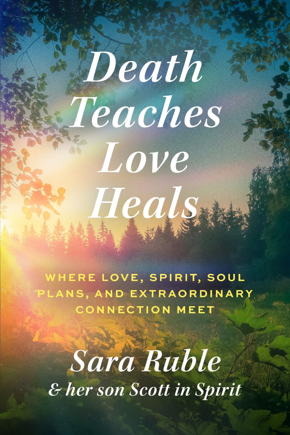 Death Teaches ~ Love Heals: Where Love, Spirit, Soul Plans, and Extraordinary Connection Meet: Where Love, Spirit, Soul Plans, and Extraordinary Connection Meet