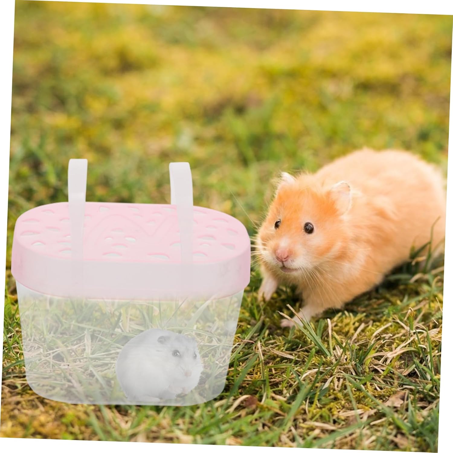 3Pcs Small Pet Carrying Cases Versatile Hamster Cage Turtle Transport Boxes for Travel for Hamsters Hedgehogs Small Animals Durable Easy to