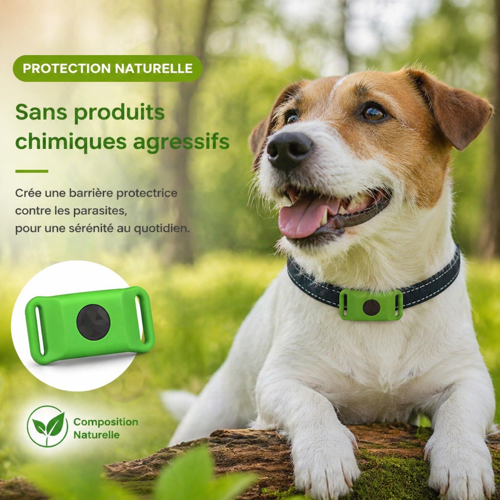 Pendentif Everly Chien - Nouveau Pendentif antiparasitaire Naturel pour Animaux 2026, Médaille de Collier Longue durée pour Une Protection Quotidienne, conçu pour Le Confort des promenades (Green)