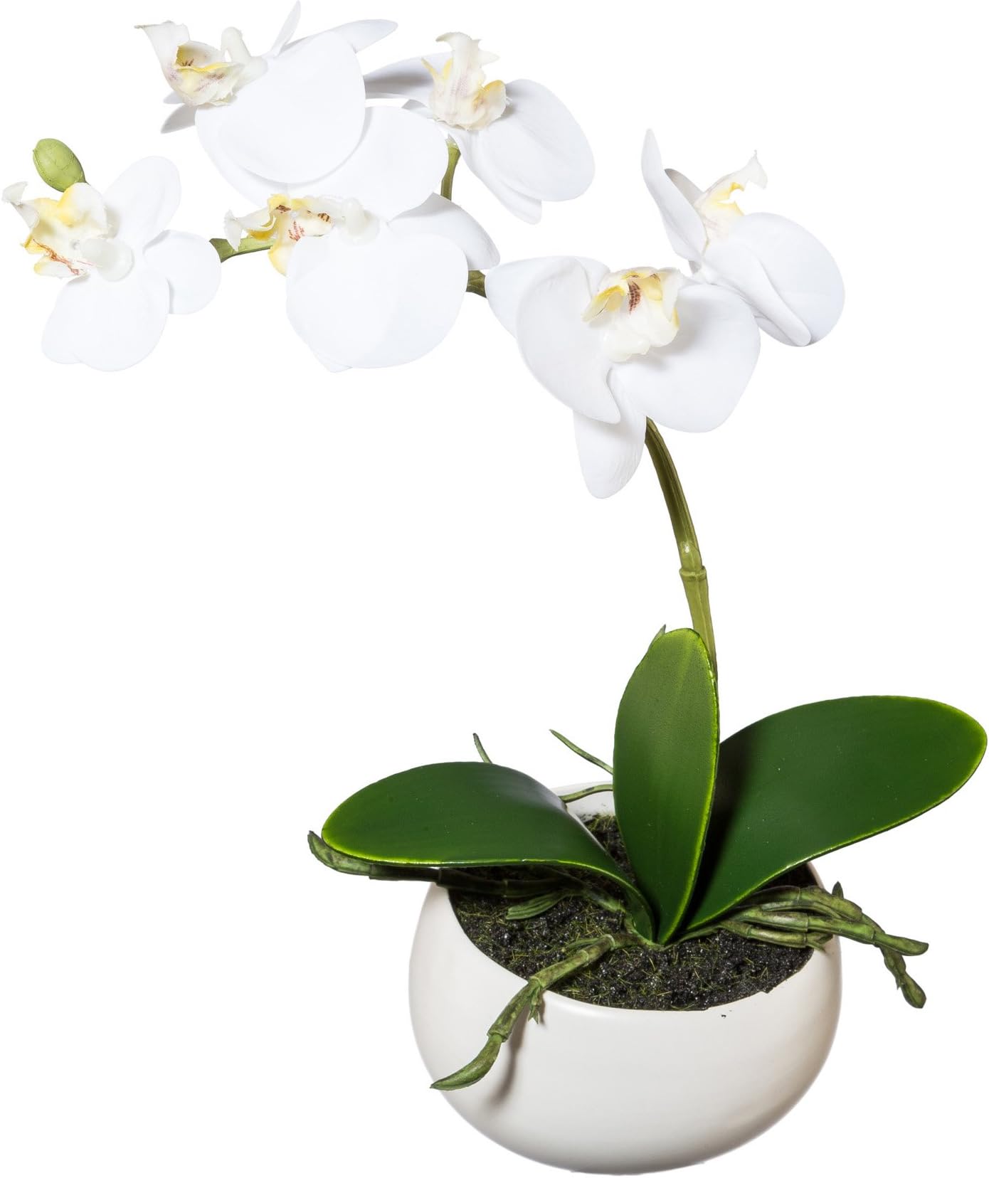 Deutschmade Artificial Flower, White Orchid Phalaenopsis Including White Ceramic Vase, 9"