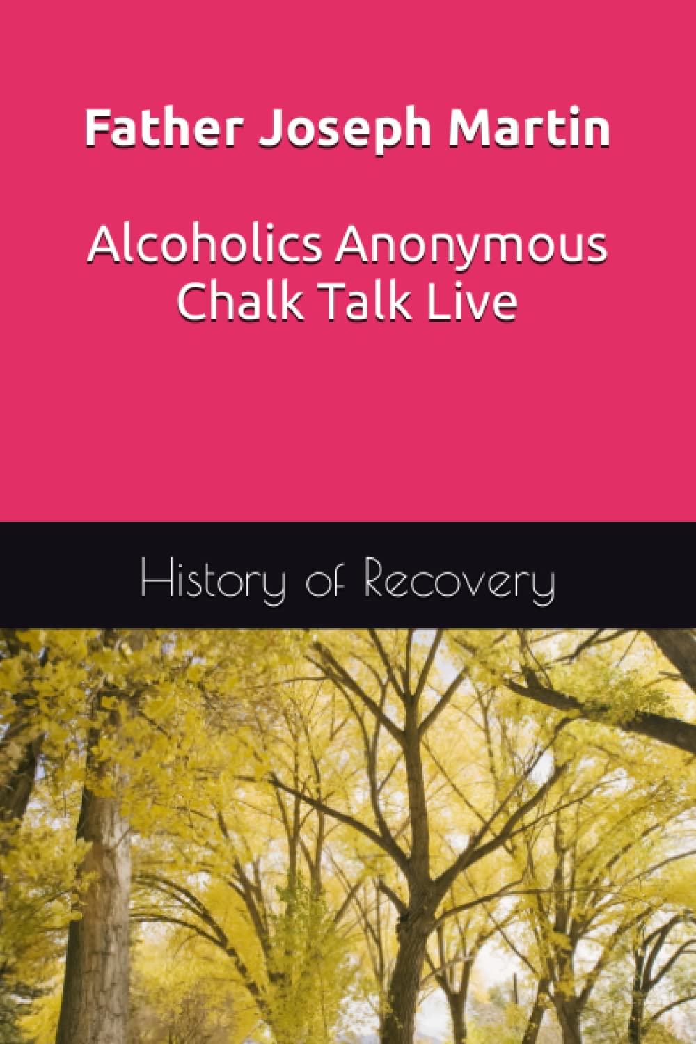 Father Joseph Martin Alcoholics Anonymous Chalk Talk Live